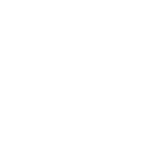 aprimitiveevolution